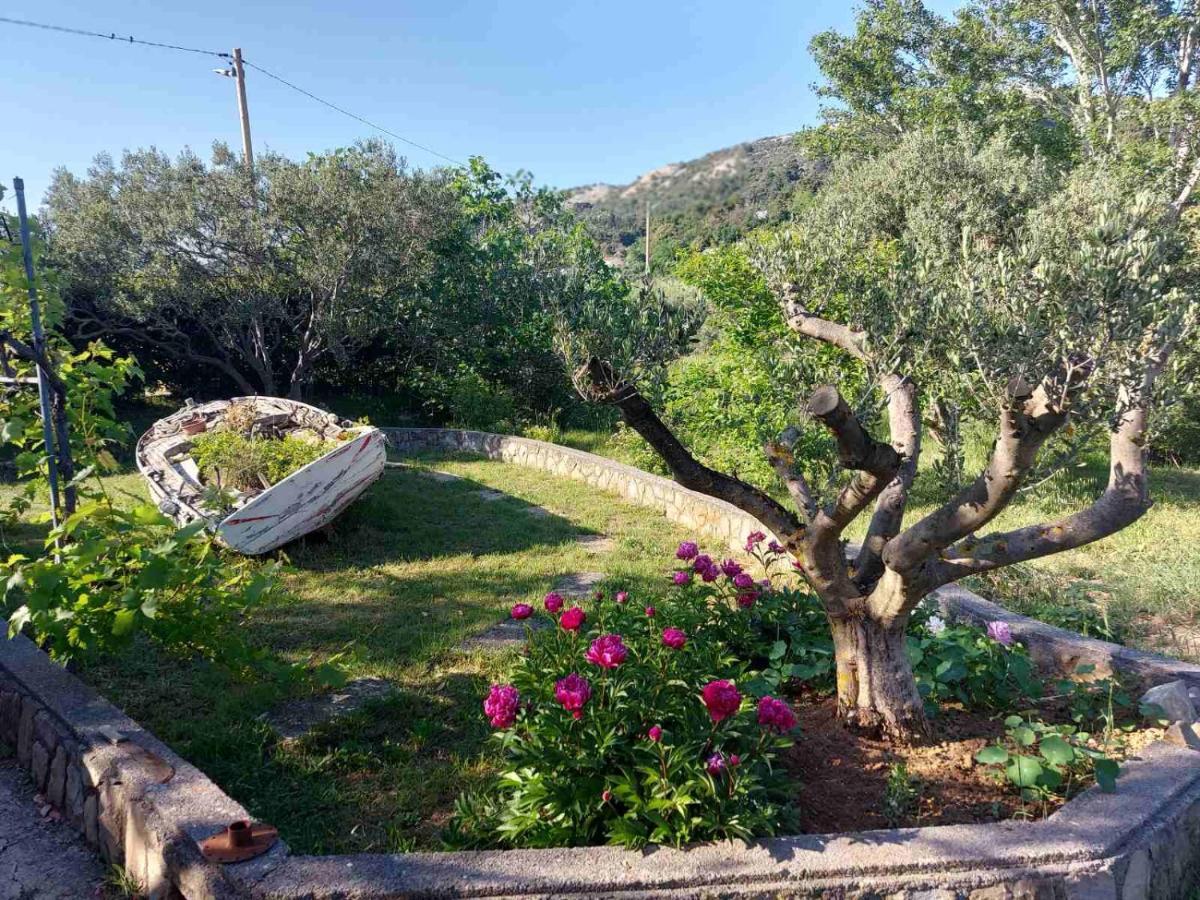 Mundanije Novouredeni Apartman Marko מראה חיצוני תמונה