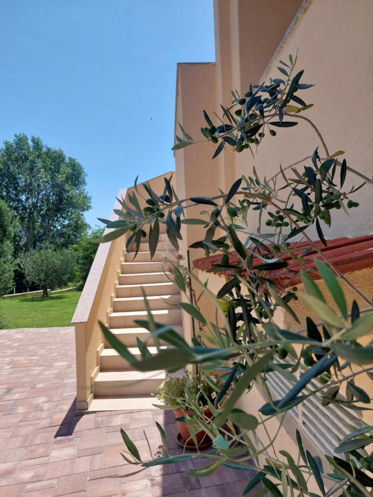 Mundanije Novouredeni Apartman Marko מראה חיצוני תמונה